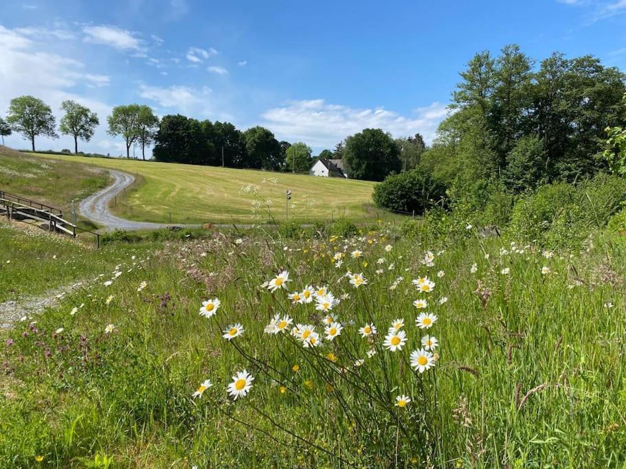 Ferienwohnung Warstein Esterno foto