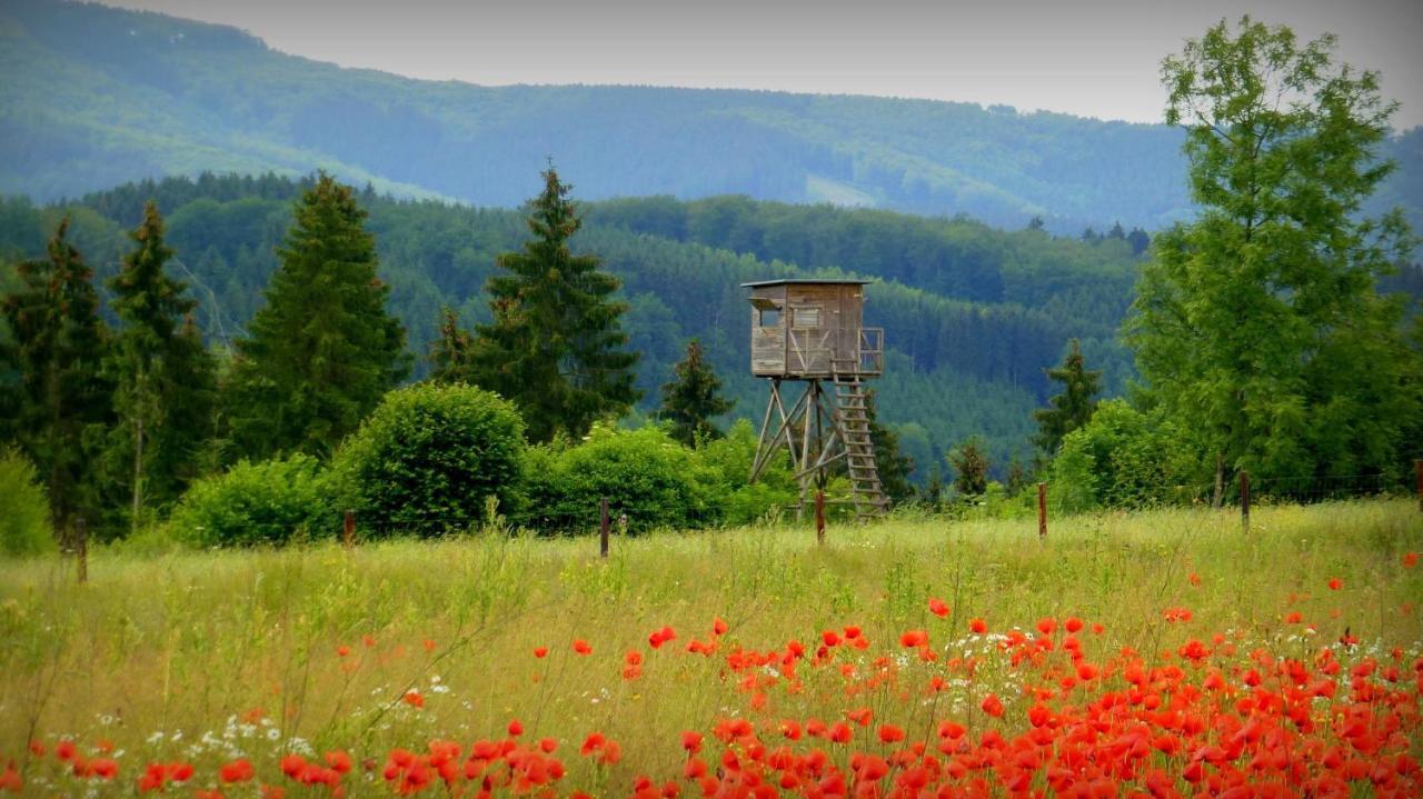 Ferienwohnung Warstein Esterno foto